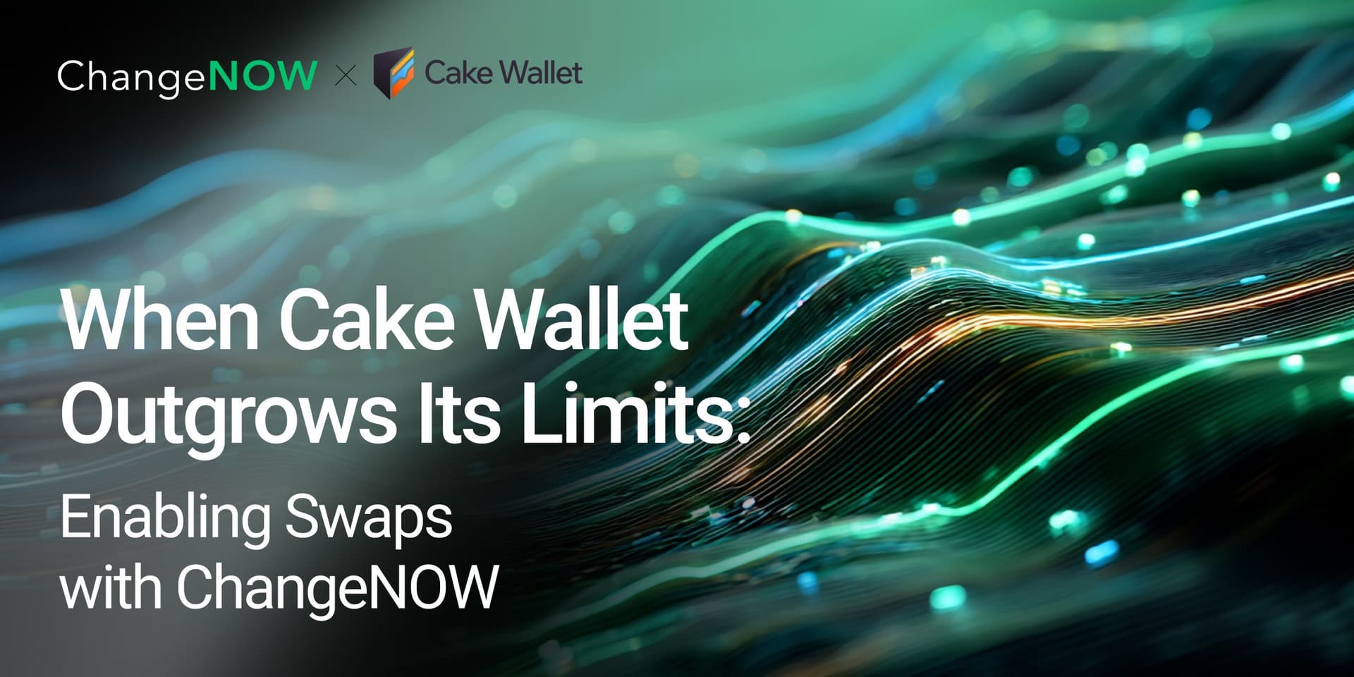 Cake Wallet Case Study